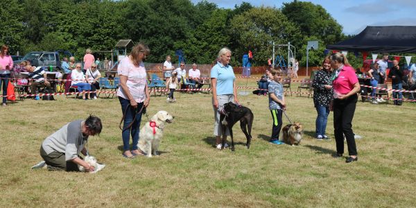 Reedham Village Hall members